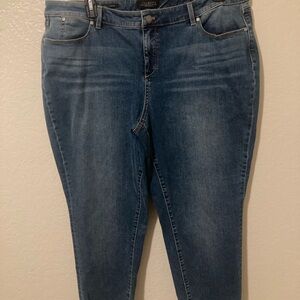 Talbots Women's Straight Leg Blue Jeans size 20wp